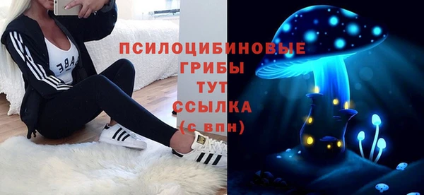 тгк Арсеньев