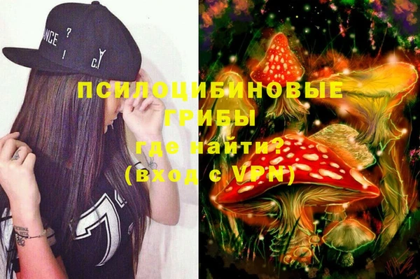 эйфоретик Алзамай