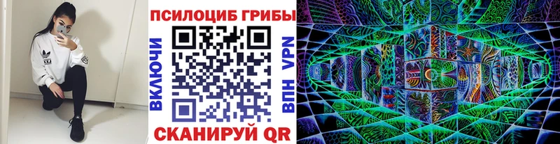 Псилоцибиновые грибы прущие грибы  дарк нет формула  Вихоревка  купить наркотики сайты 